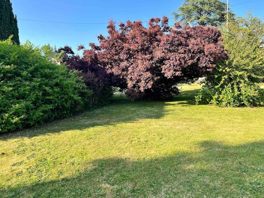 Gite De La Petite Fourmy Saint-Sulpice-les-Feuilles Екстер'єр фото