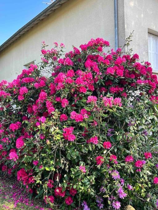 Gite De La Petite Fourmy Saint-Sulpice-les-Feuilles Екстер'єр фото