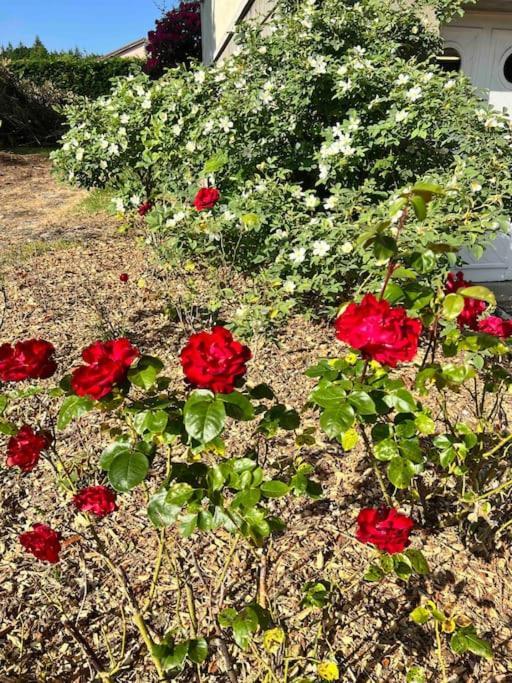 Gite De La Petite Fourmy Saint-Sulpice-les-Feuilles Екстер'єр фото